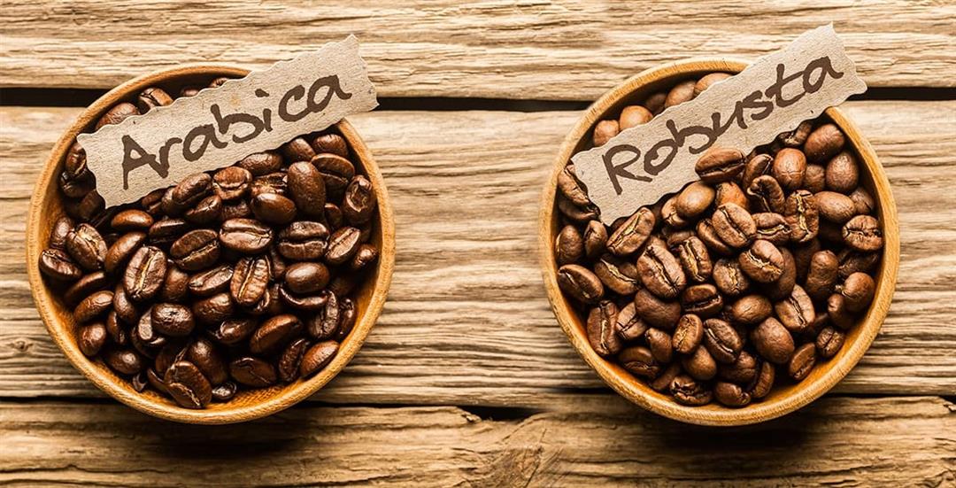 تفاوت قهوه عربیکا و روبوستا چیست؟